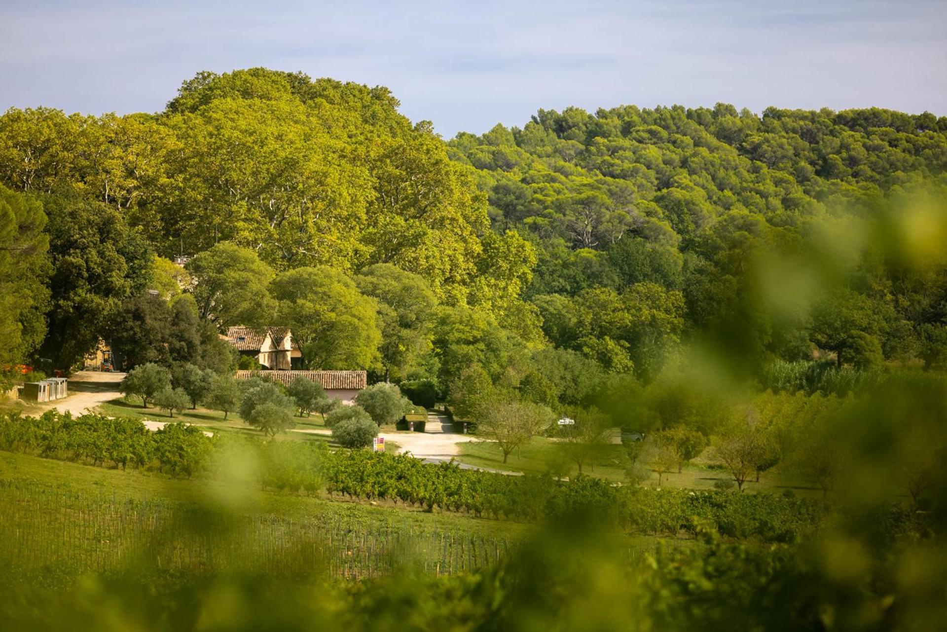 Chateau Mentone Masseboeuf المظهر الخارجي الصورة