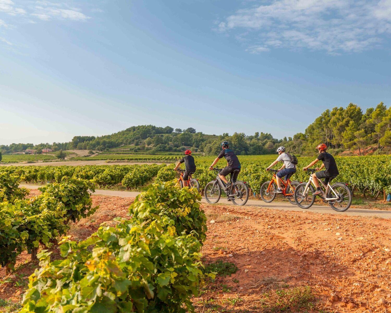 Chateau Mentone Masseboeuf المظهر الخارجي الصورة